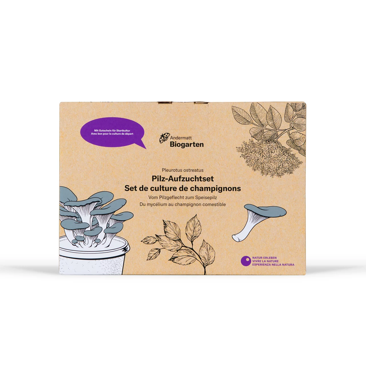 Image du produit pour «Set de culture de champignons» | © Andermatt Biogarten AG