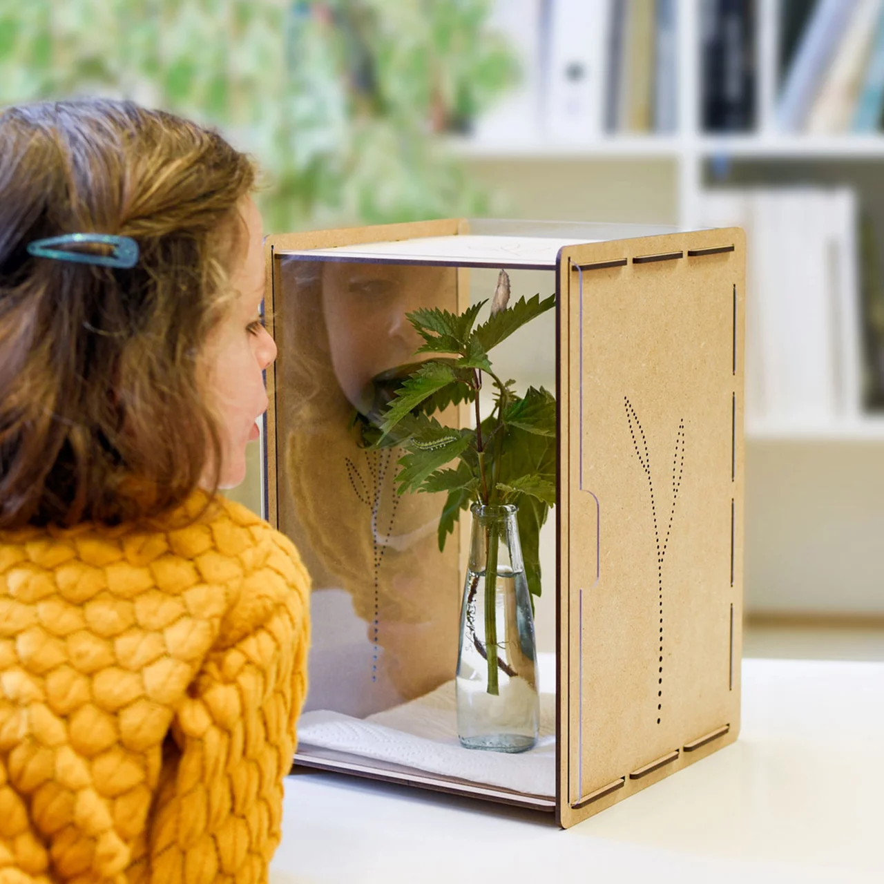 Image du produit pour «Boîte d'observation des chenilles» | © Minz Agentur