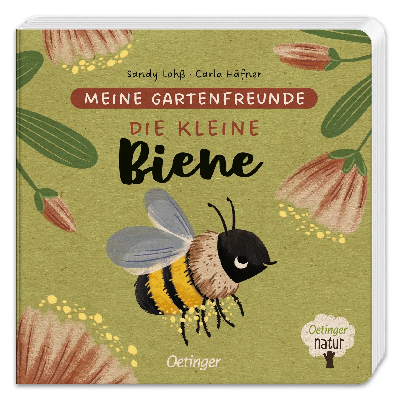Produktbild zu «Die kleine Biene» | © AVA Verlagsauslieferung AG