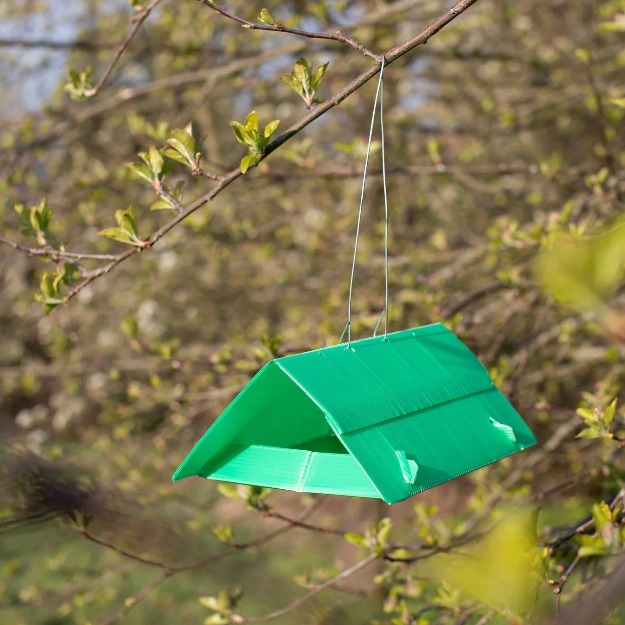 Image du produit pour «Piège à carpocapse des pommes» | © Andermatt Biogarten AG