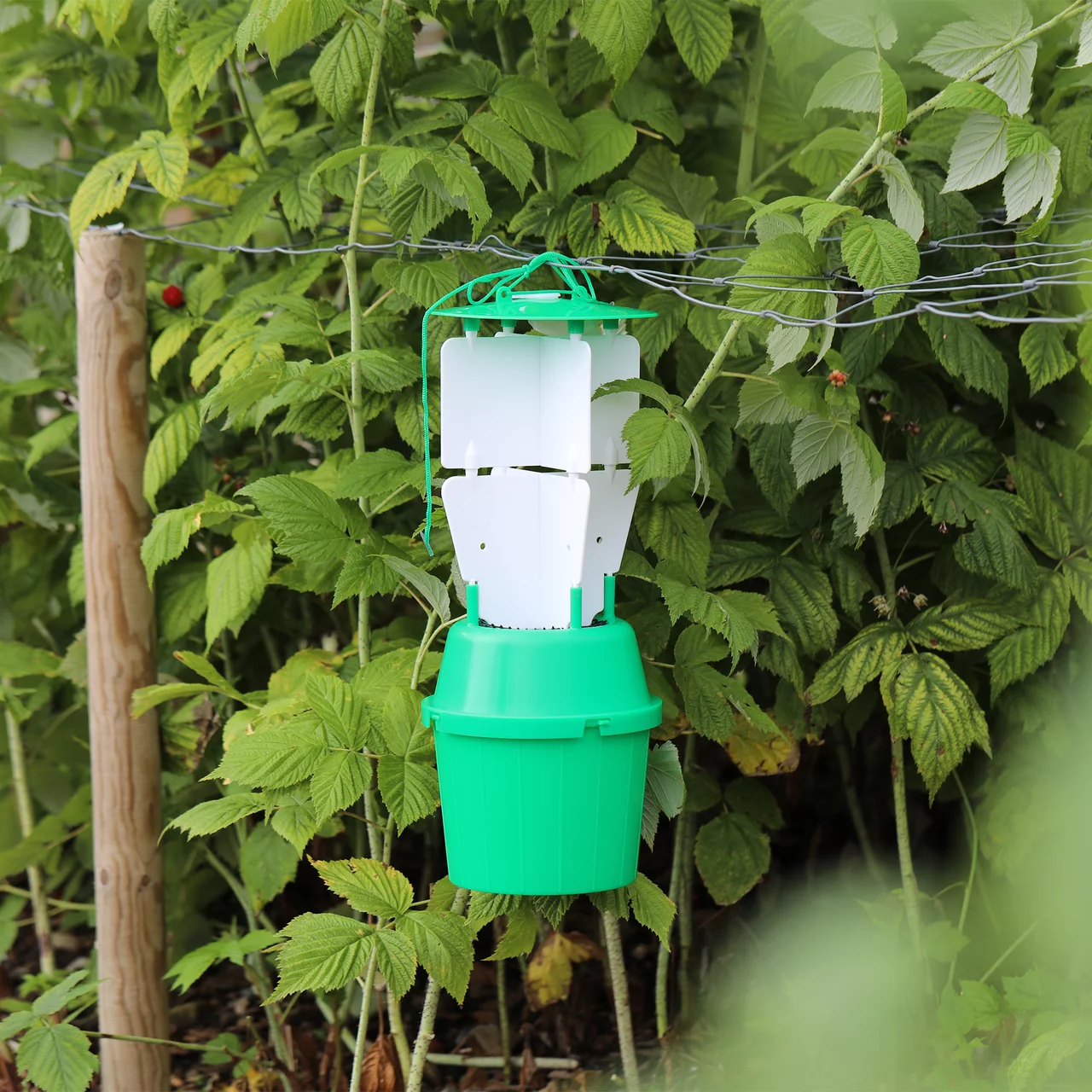 Produktbild zu «Butotrap Himbeerkäfer-Falle» | © Andermatt Biocontrol Suisse AG