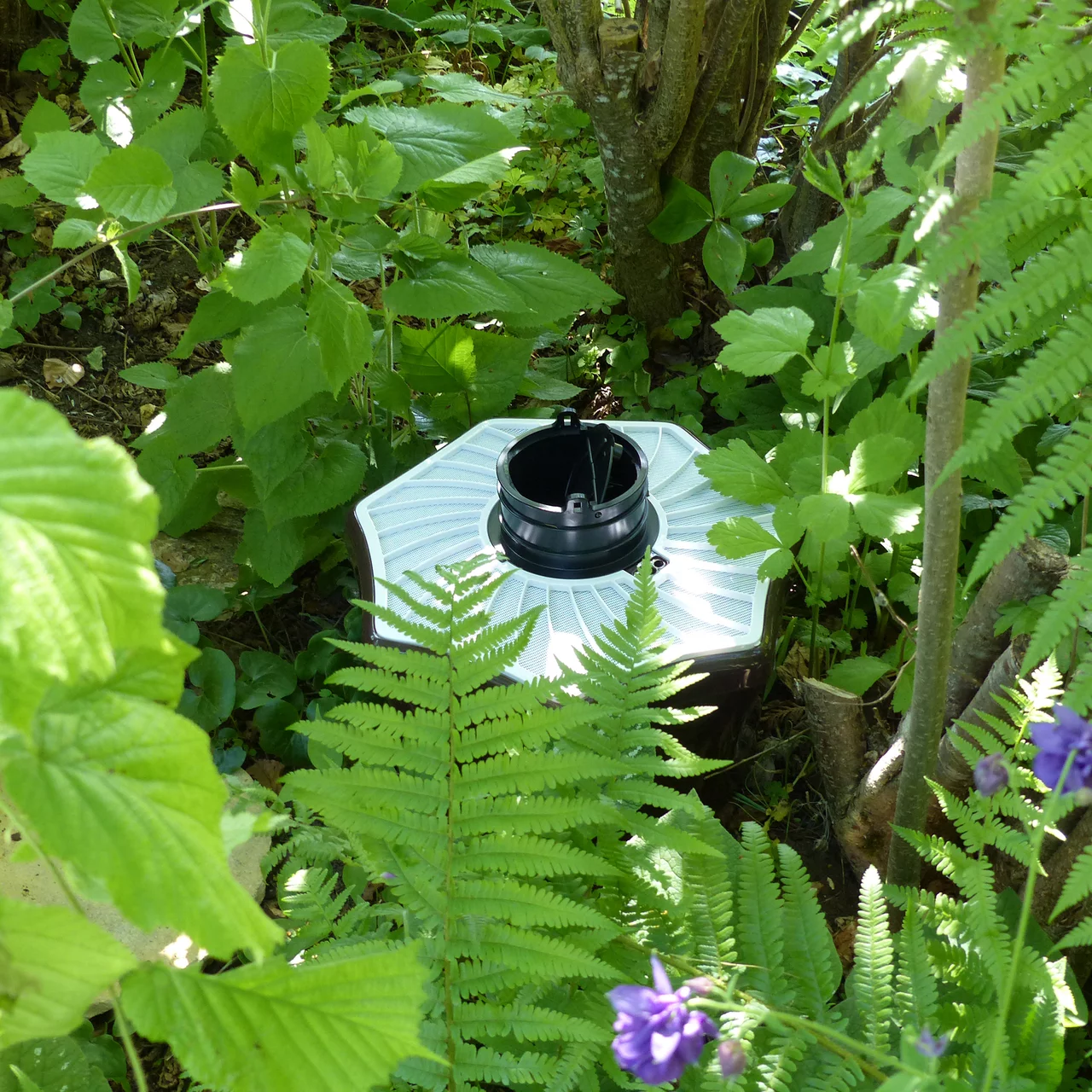 Produktbild zu «Tigermückenfalle» | © Samen Mauser AG