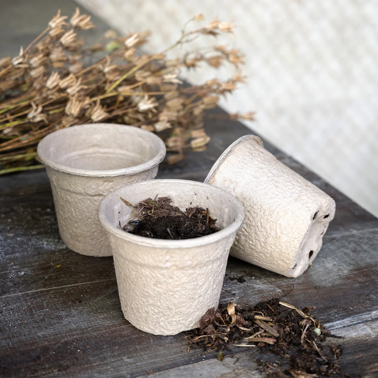 Image du produit pour «Pots de culture en papier»