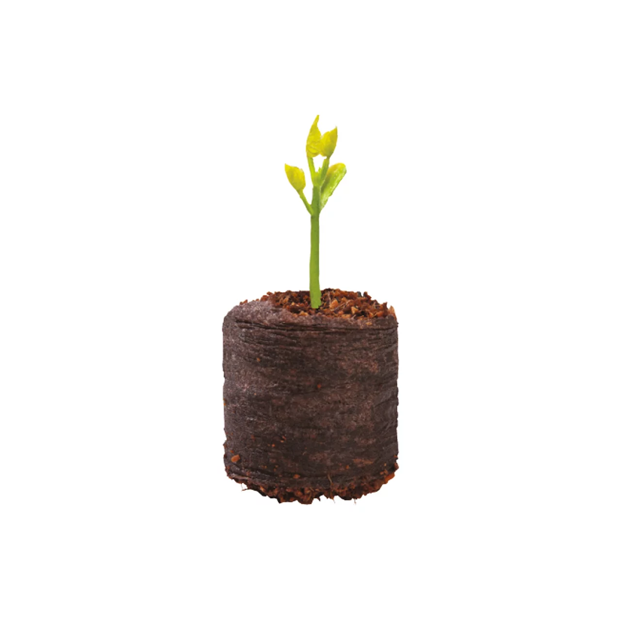 Image du produit pour «Pastilles de germination» | © Andermatt Biogarten AG