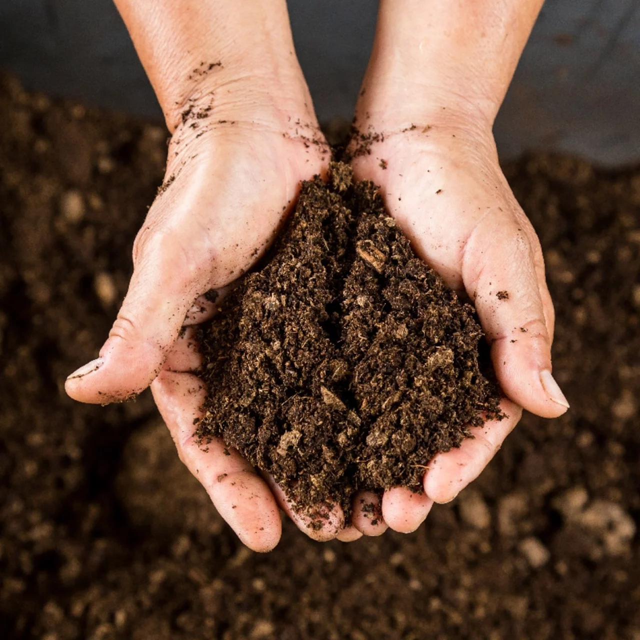Accélérateur de compost naturel & Bio – Compostage rapide