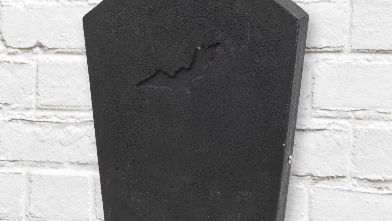 Produktbild zu «Fledermauskasten Dracula» | © CJ WildBird Foods Ltd