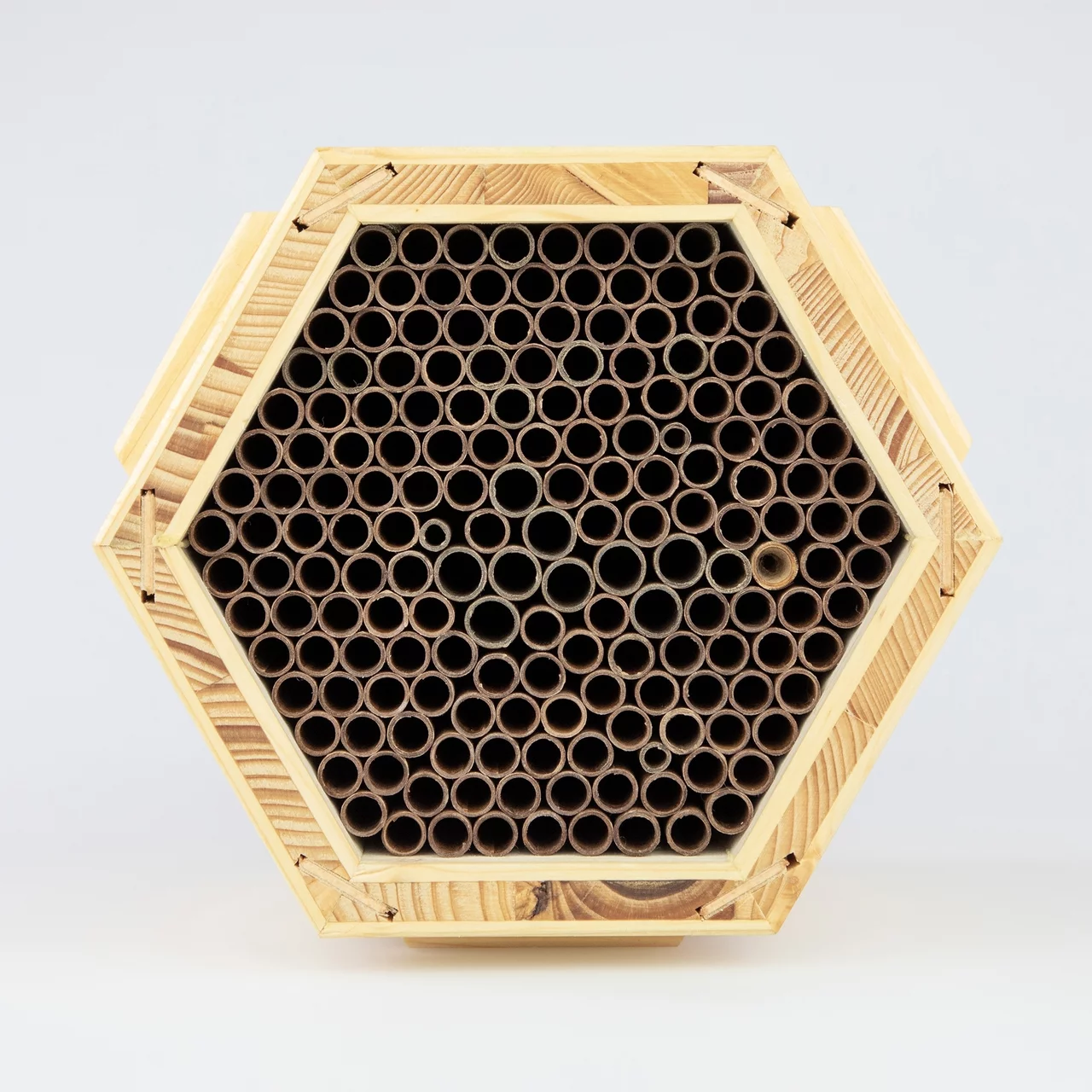 Image du produit pour «Modul'insectes abeilles maçonnes» | © RAZ Werkatelier