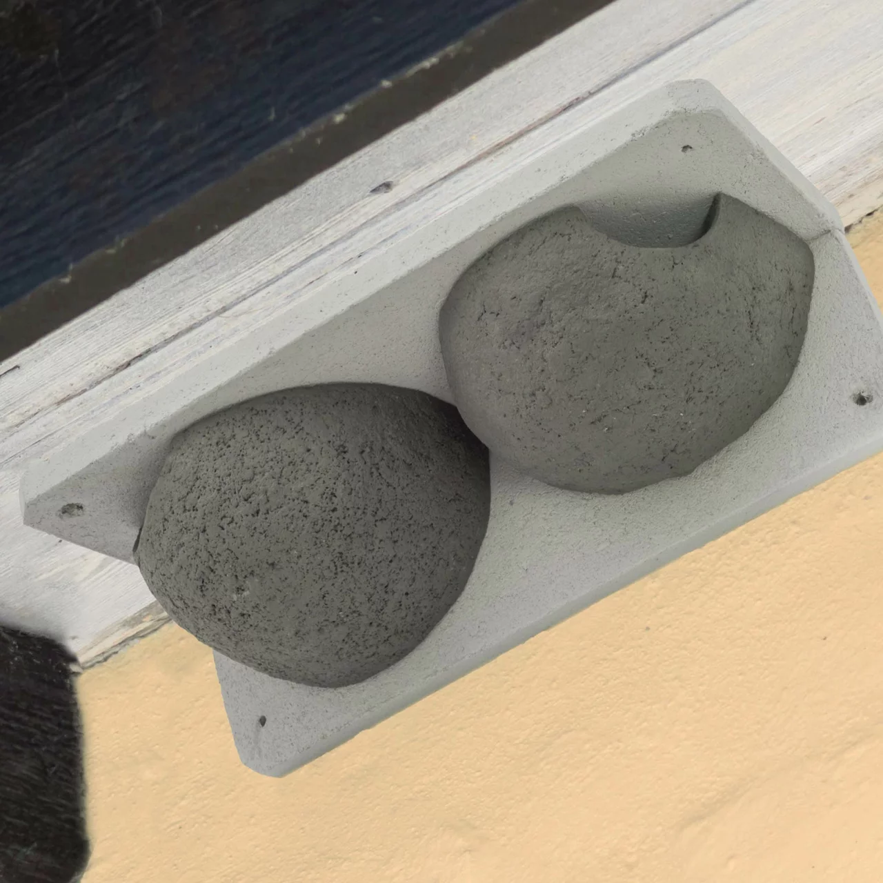 Image du produit pour «Nid d‘hirondelles double» | © CJ WildBird Foods Ltd