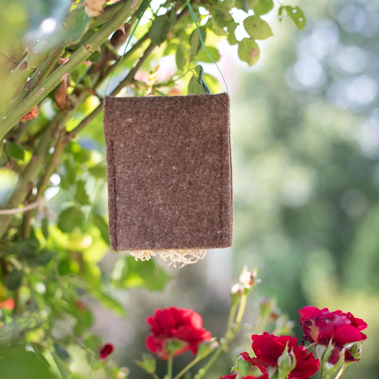 © Andermatt Biogarten