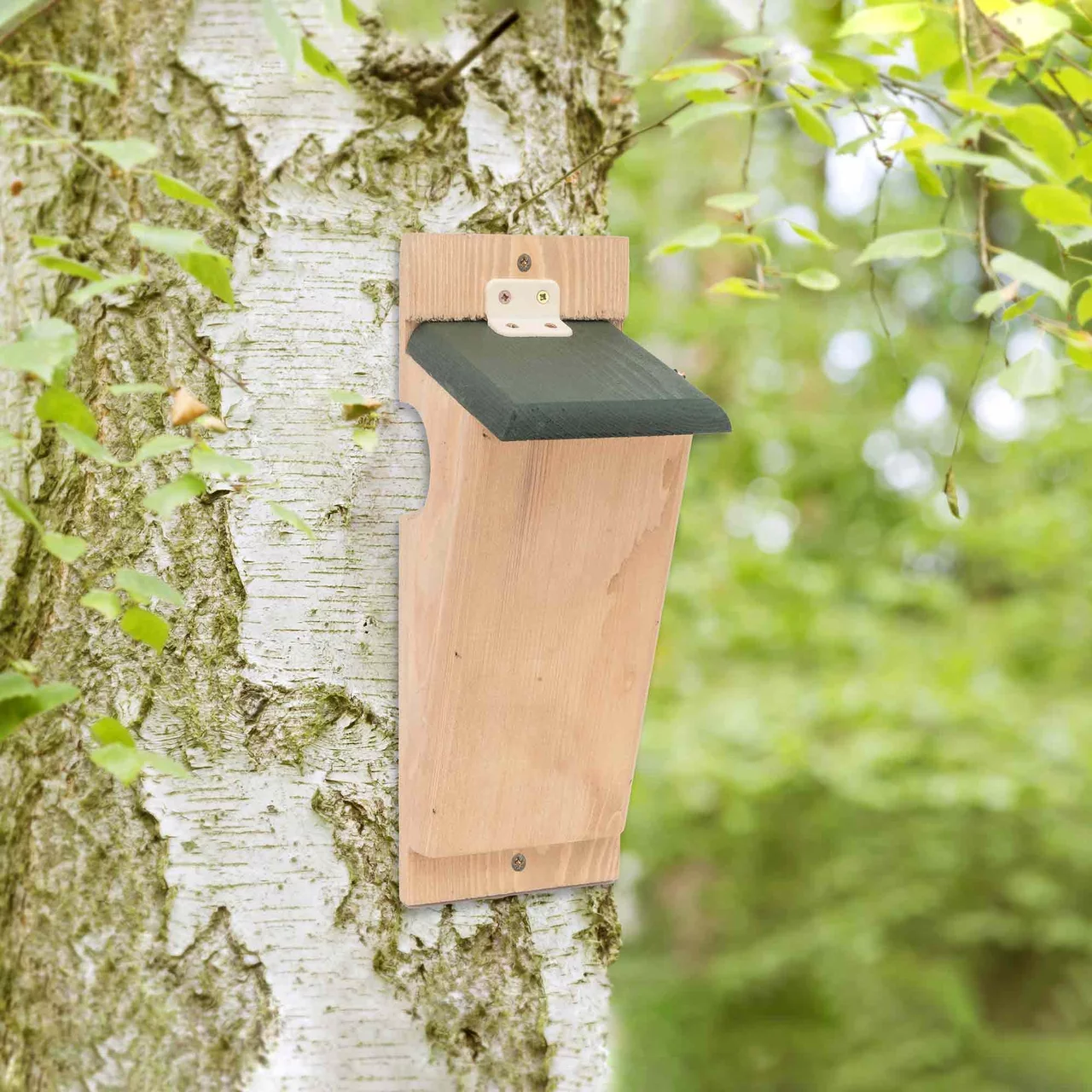 Image du produit pour «Nichoir Grimpereau des jardins» | © CJ WildBird Foods Ltd