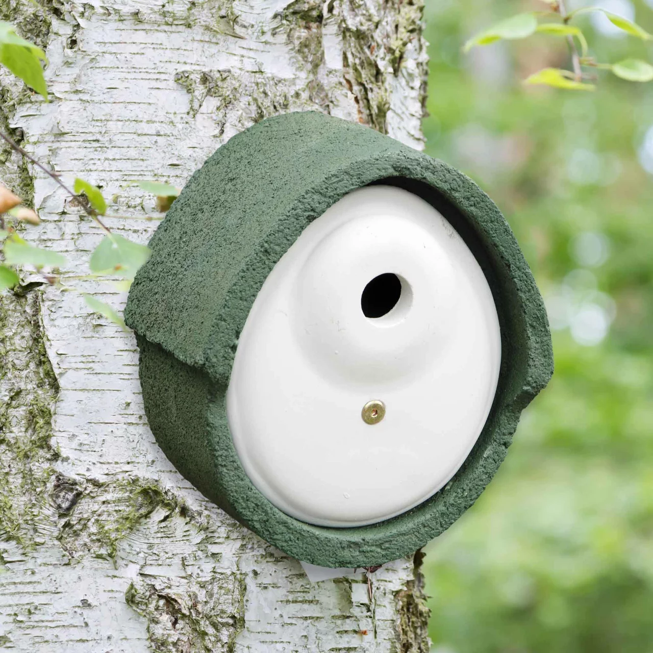 Image du produit pour «Nichoir Sitelle» | © CJ WildBird Foods Ltd