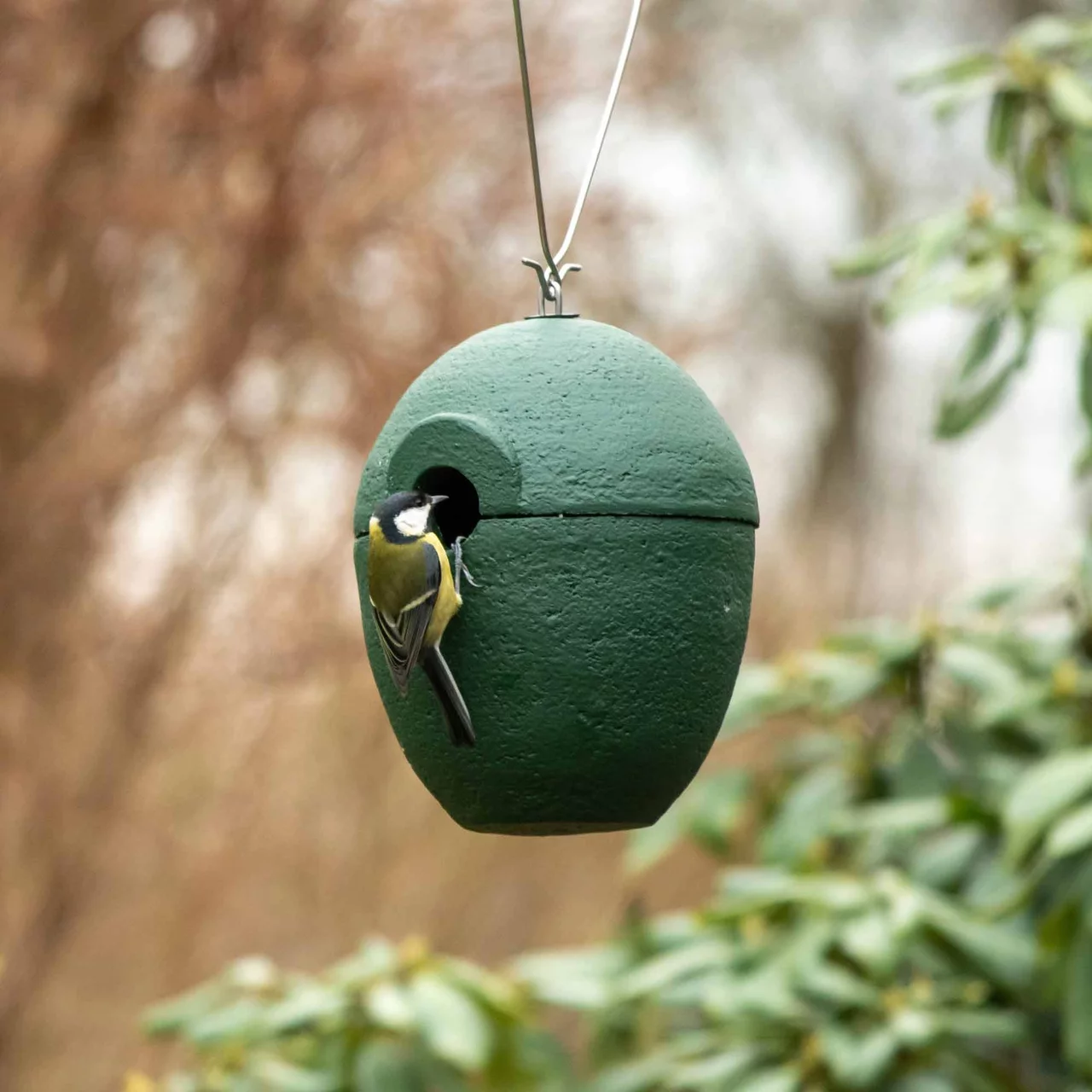 Image du produit pour «Nichoir Œuf» | © CJ WildBird Foods Ltd