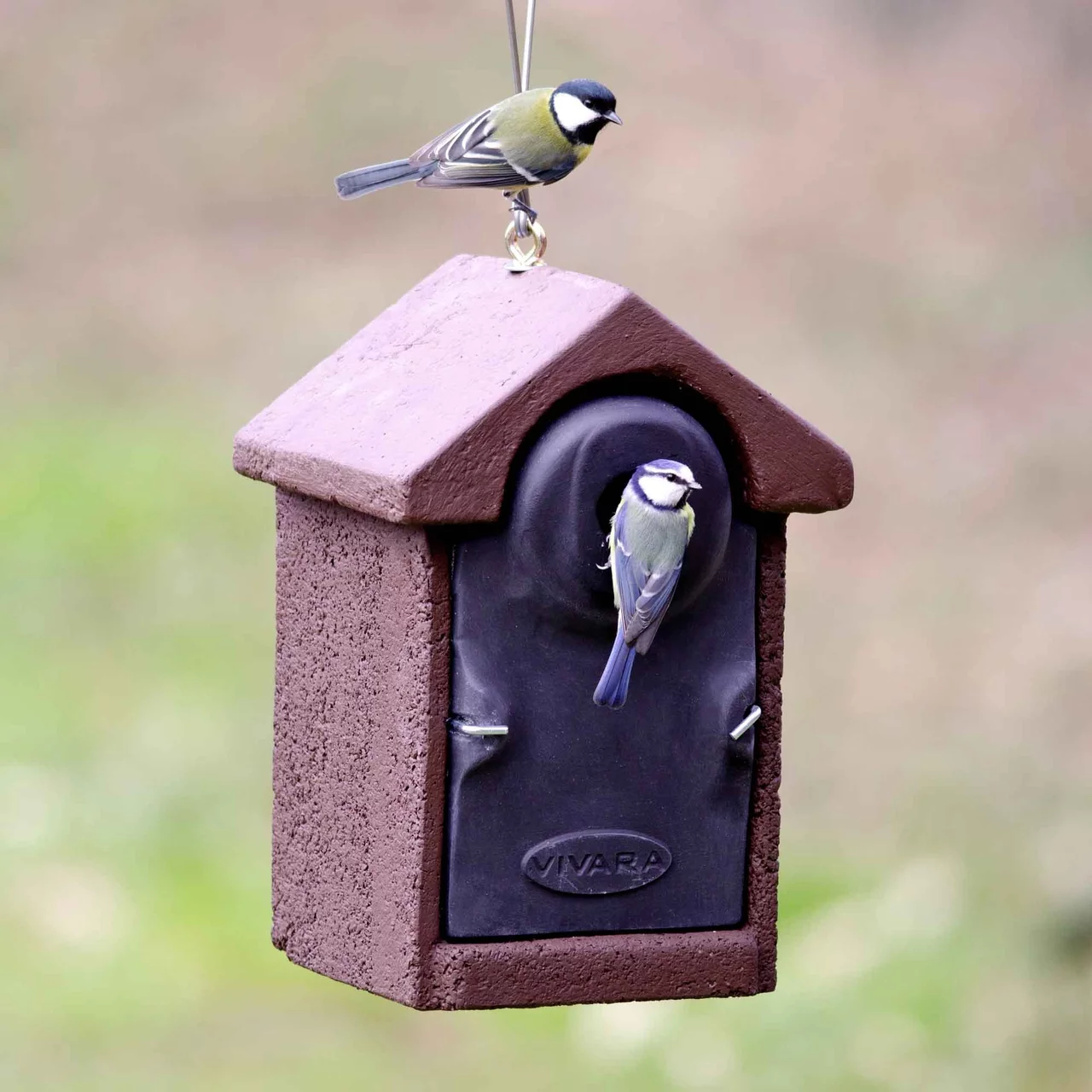 Image du produit pour «Nichoir Mésange» | © CJ WildBird Foods Ltd