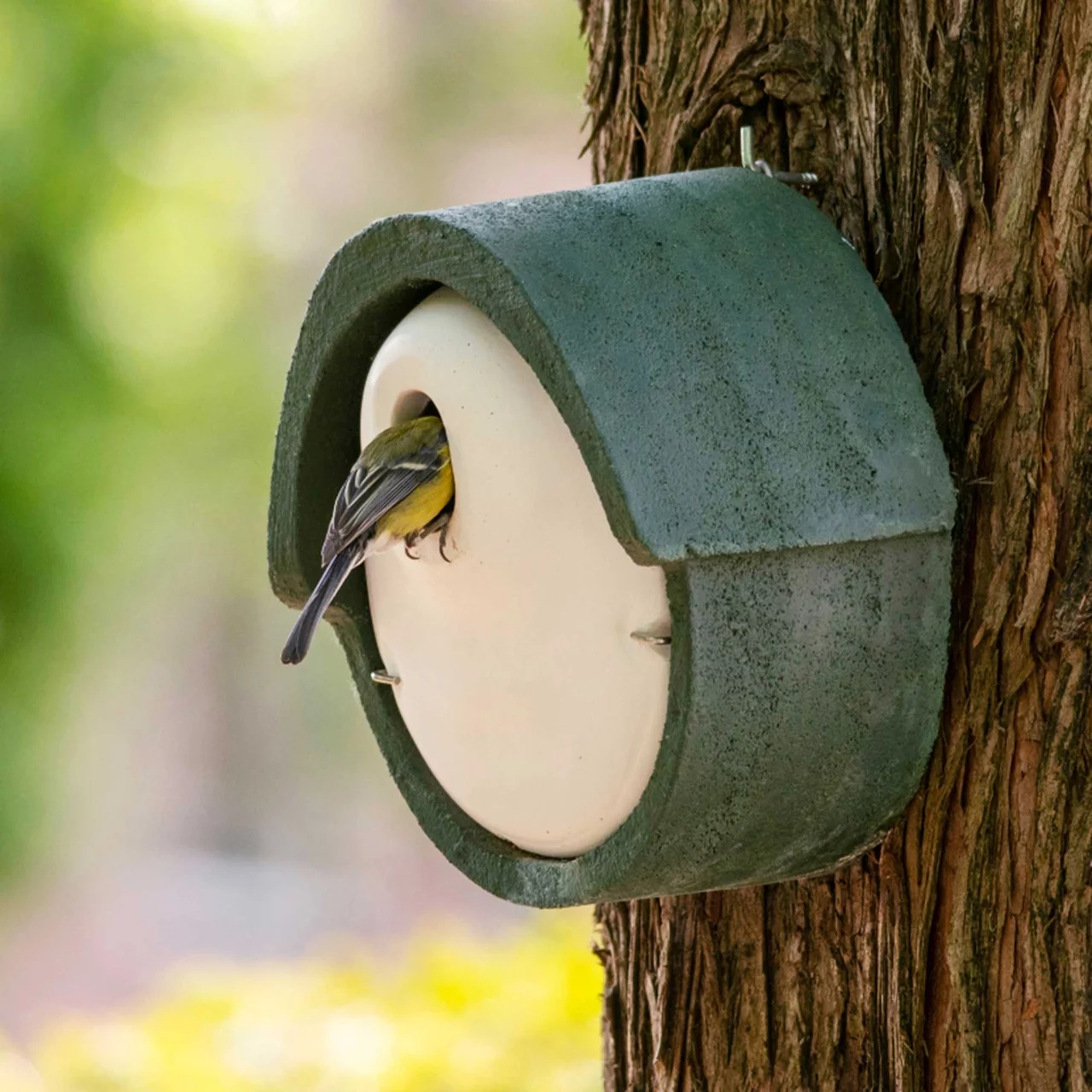 Image du produit pour «Nichoir Rougequeue» | © CJ WildBird Foods Ltd