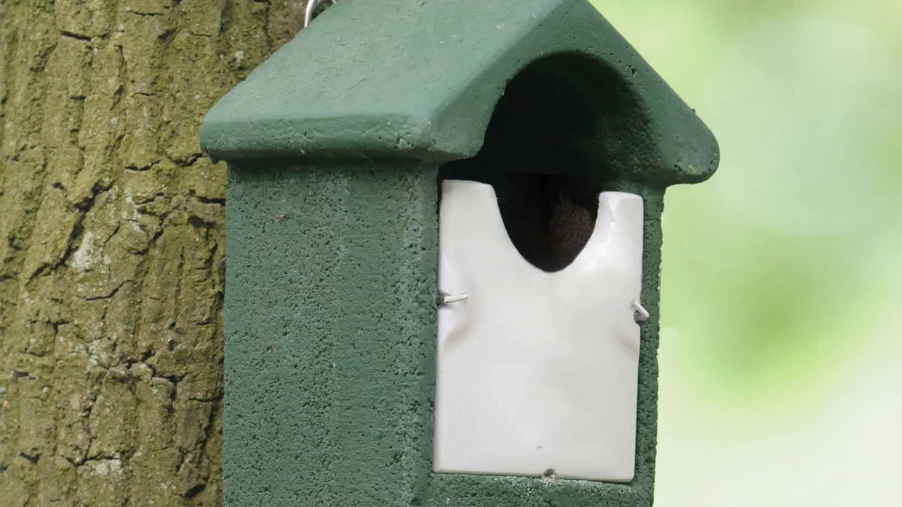 Produktbild zu «Vogelhaus Zaunkönig» | © CJ WildBird Foods Ltd