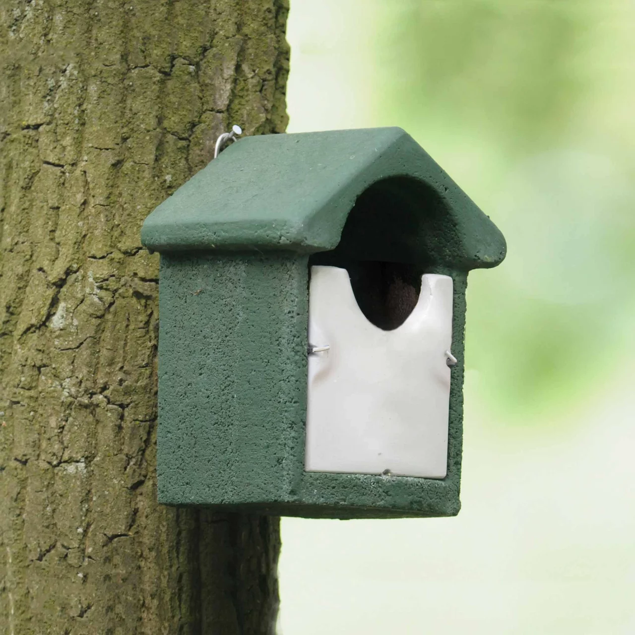 Image du produit pour «Nichoir Troglodyte mignon» | © CJ WildBird Foods Ltd