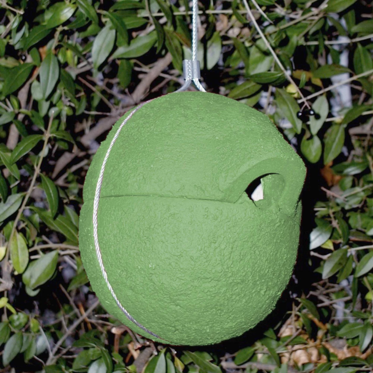 Image du produit pour «Nid en forme de boule» | © Andermatt Biogarten AG