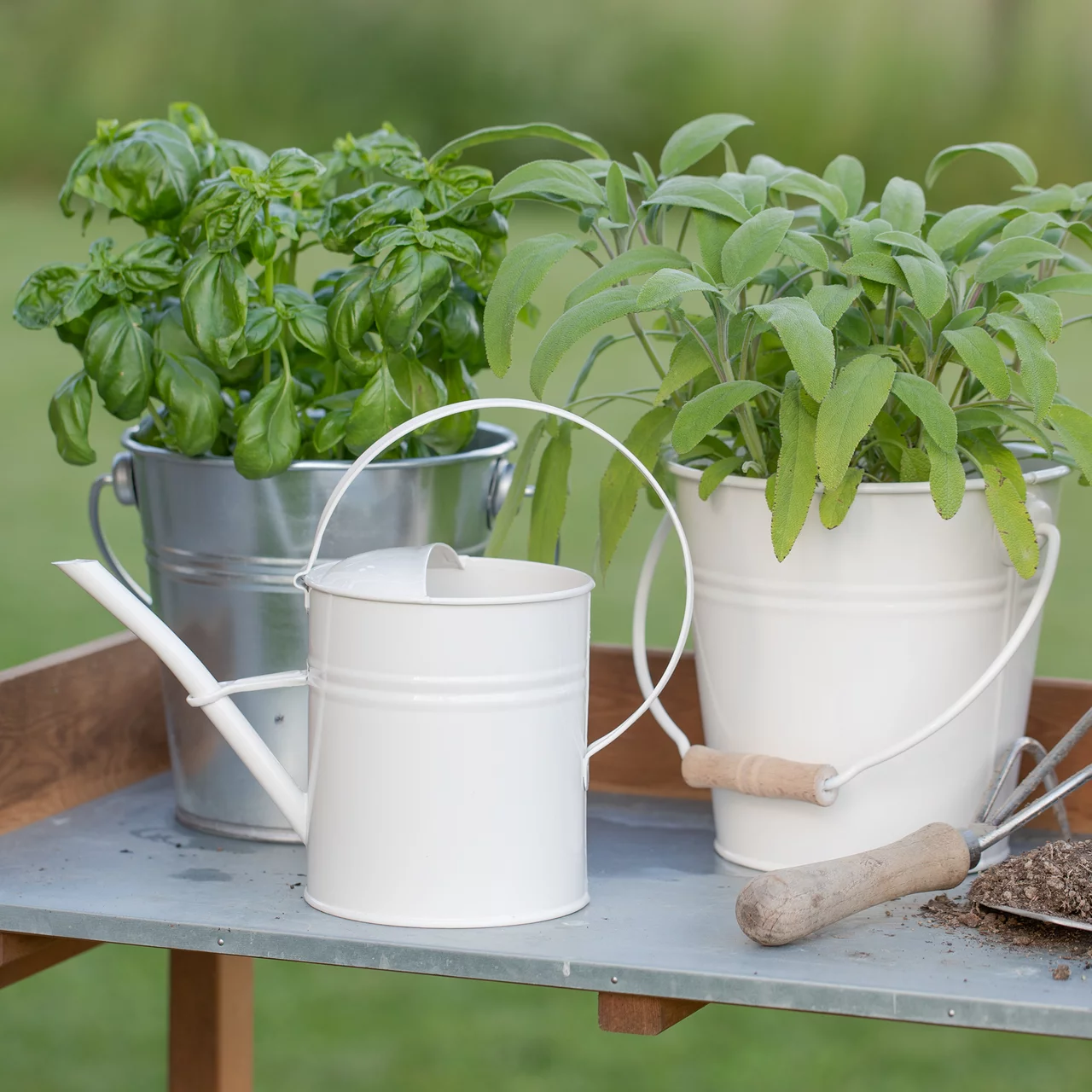 Milageto Vogelfutter Auffangschale - 50,8cm Durchmesser, Fiberglas, Grün Für Garten