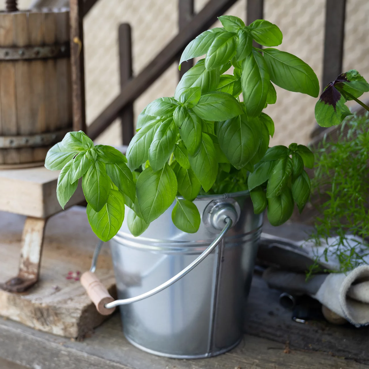 Produktbild zu «Metalleimer» | © LIN DIS.TIC.LTD.STI