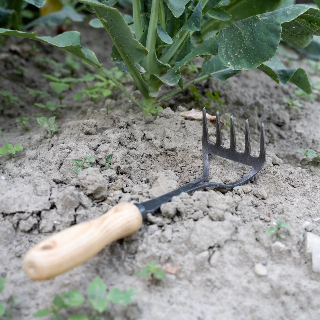 Produktbild zu «Handrechen» | © Krumpholz