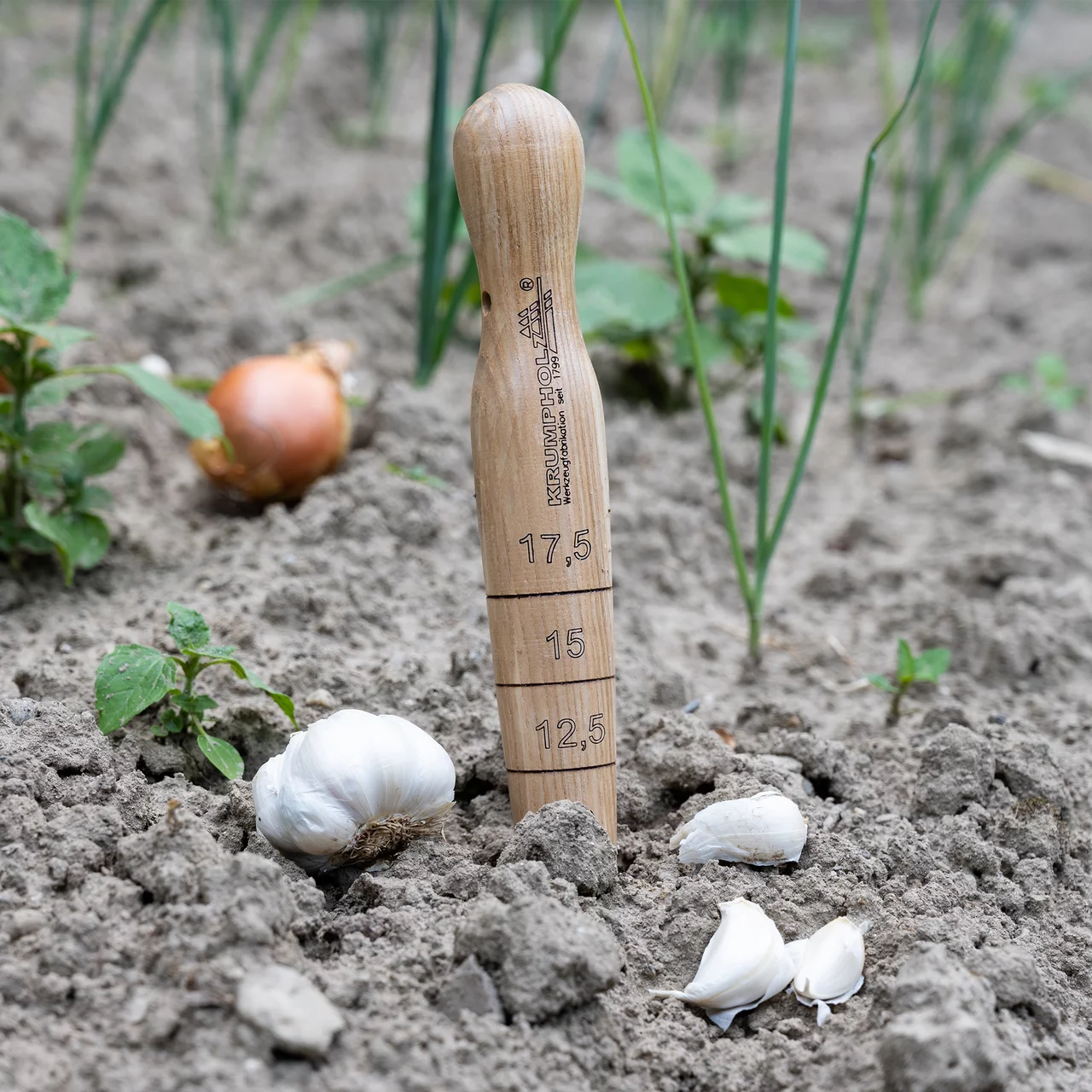 Produktbild zu «Pflanzholz» | © Krumpholz