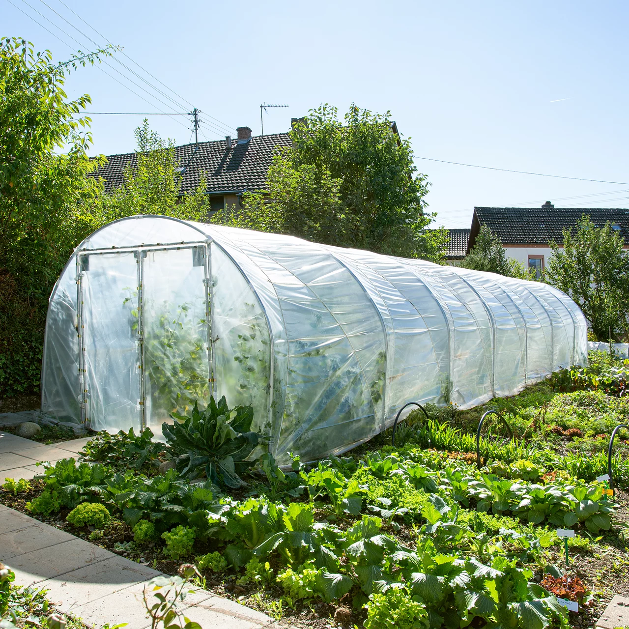 Produktbild zu «Folientunnel ProGrow» | © FVG Folien-Vertriebs GmbH
