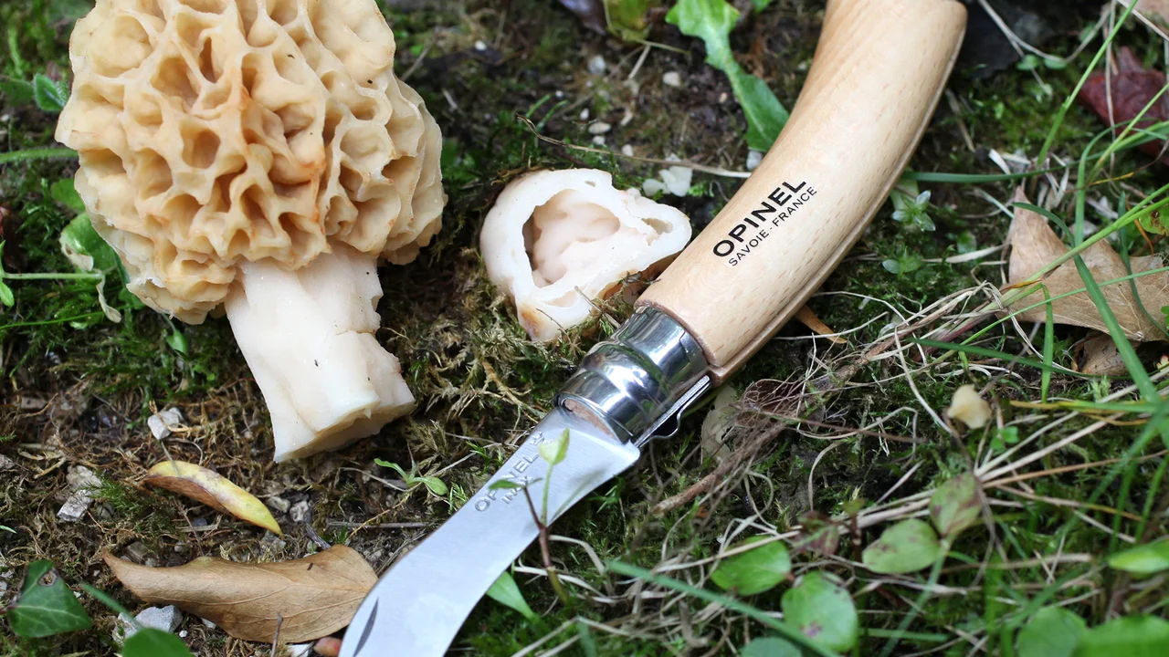 Produktbild zu «Opinel Pilzmesser» | © Andermatt Biogarten AG