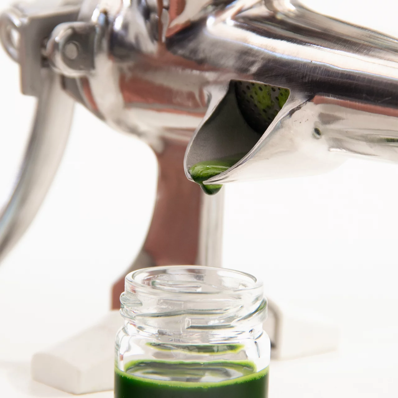 HandSaftpresse Säfte schnell und einfach selbst pressen