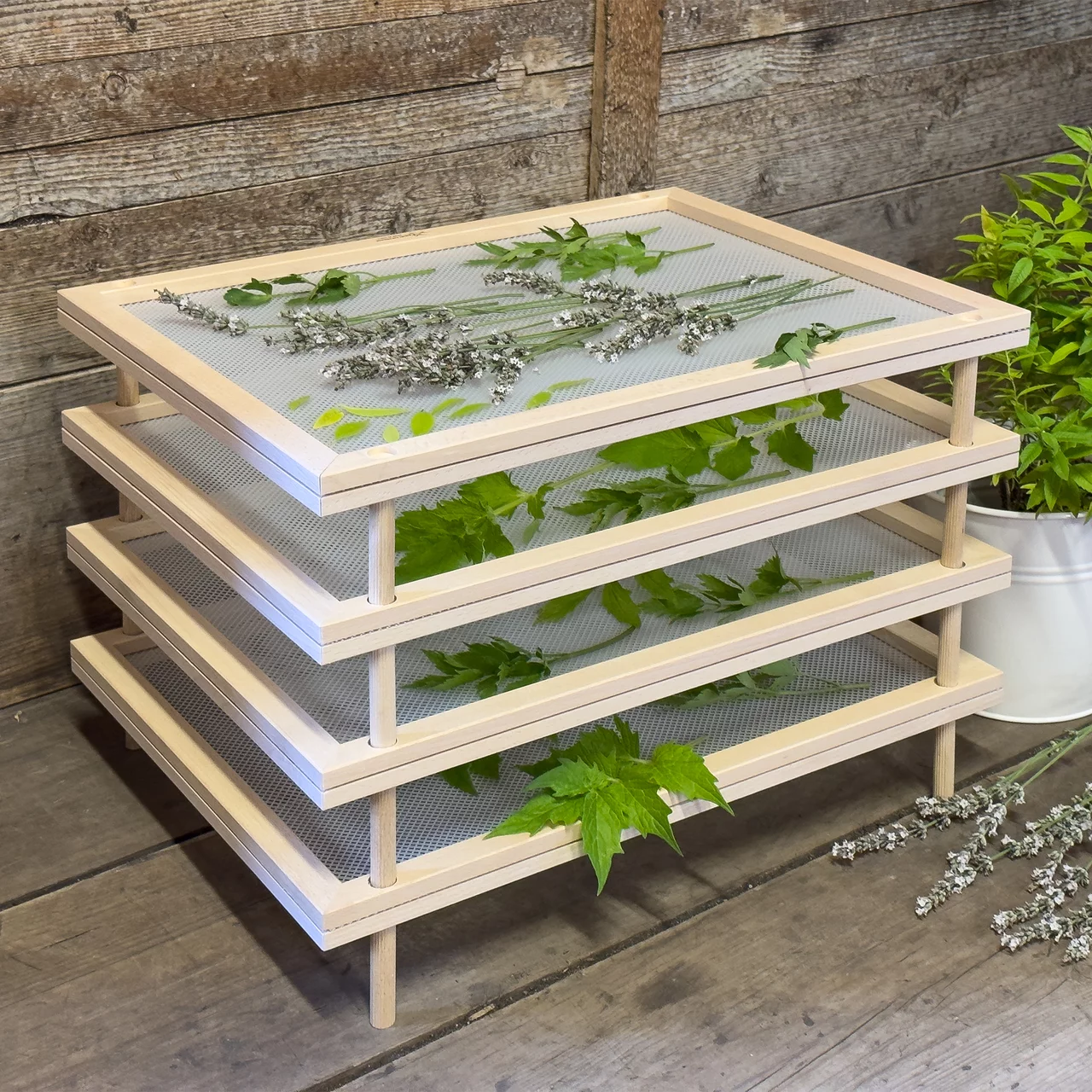 Image du produit pour «Séchoir à herbes» | © EPPICOTISPAI S.r.l.