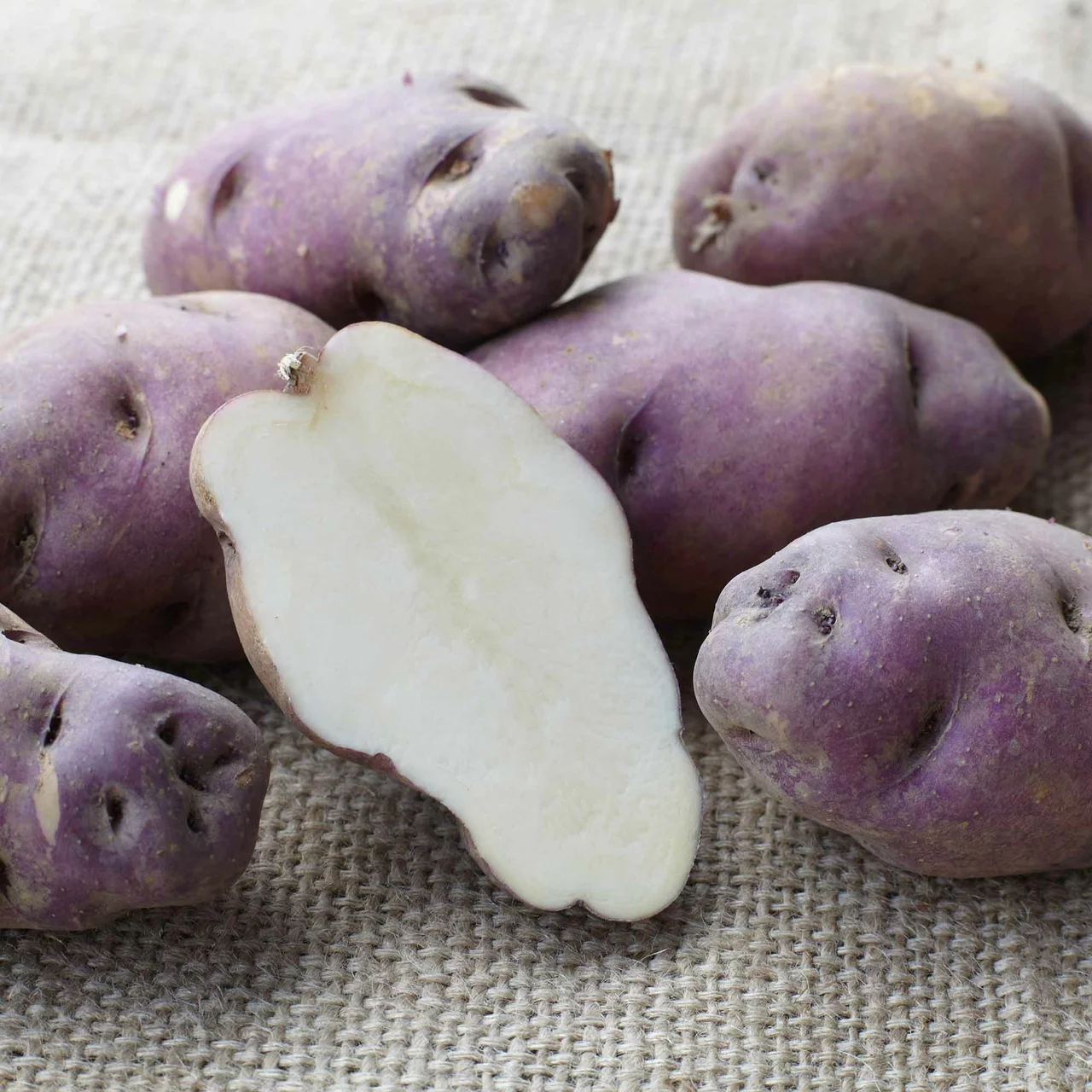 Pflanzkartoffel Lilaschalige Uetendorf