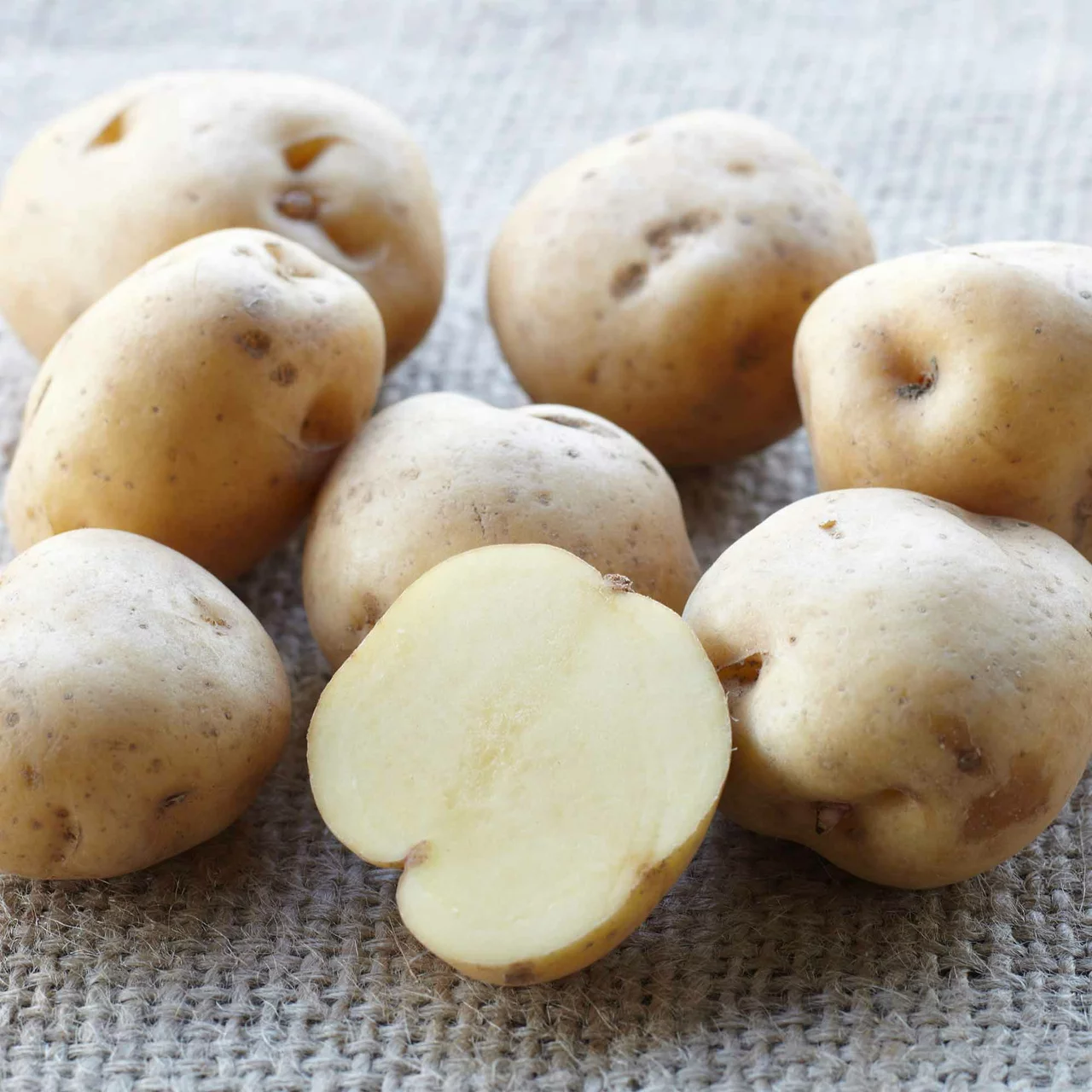 Pflanzkartoffel Maritta (Weisse Lötschentaler)