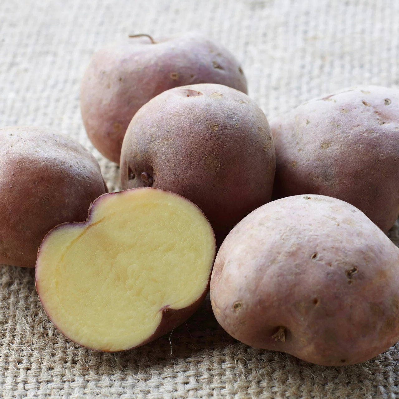 Pflanzkartoffel 'Röseler'