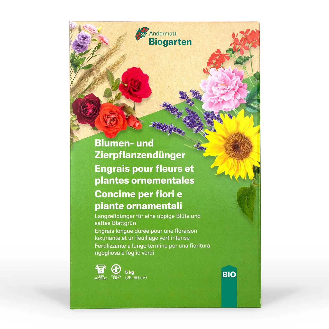 Oeillet des Chartreux – Vivaces fleuries biologiques