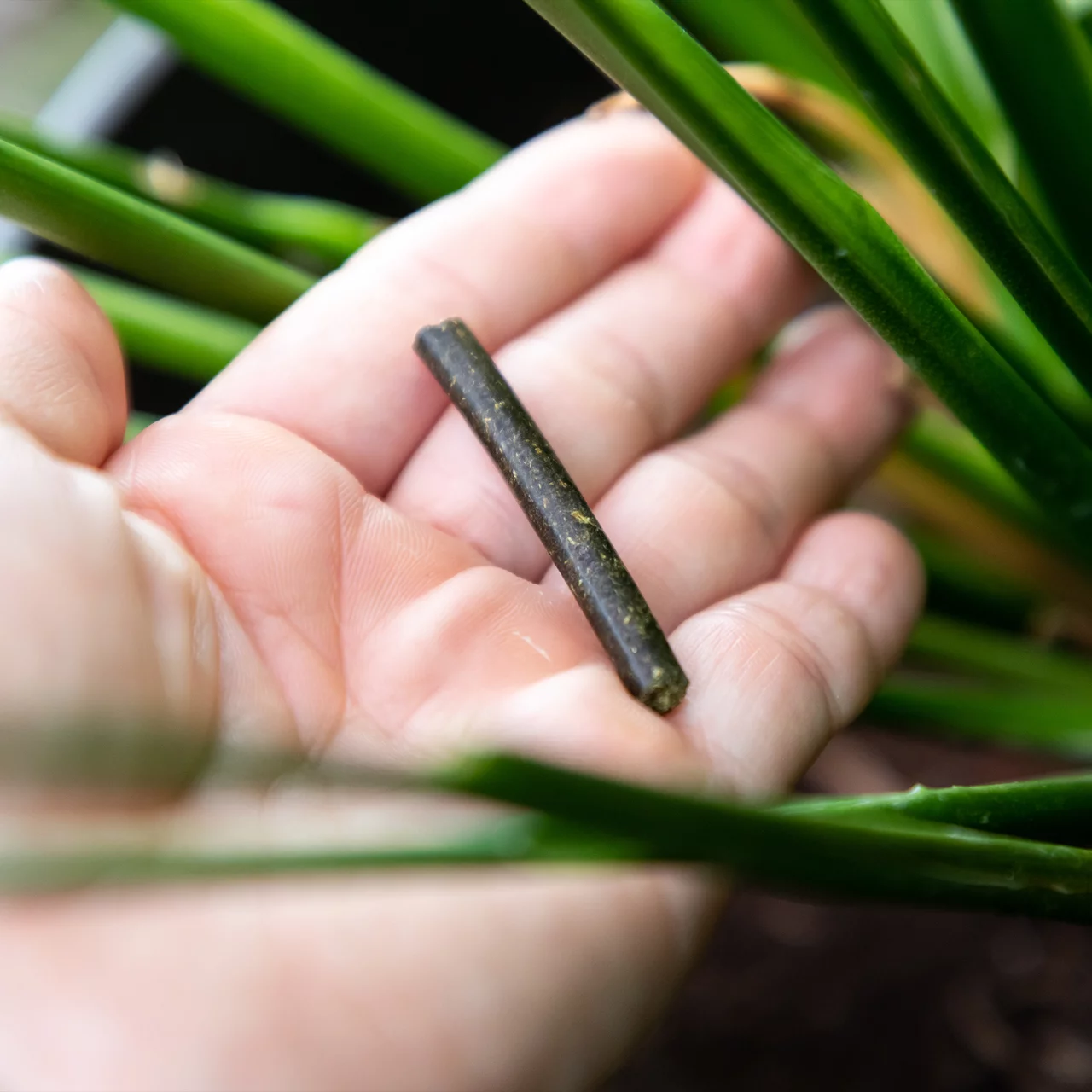 Image du produit pour «Bâtonnets d'engrais» | © Andermatt Biogarten AG