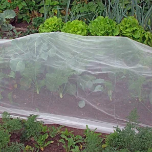 Früh und dicht anlegend über die Kulturpflanzen gespannt, haben die Wanzen keine Chance. | © Andermatt Biogarten