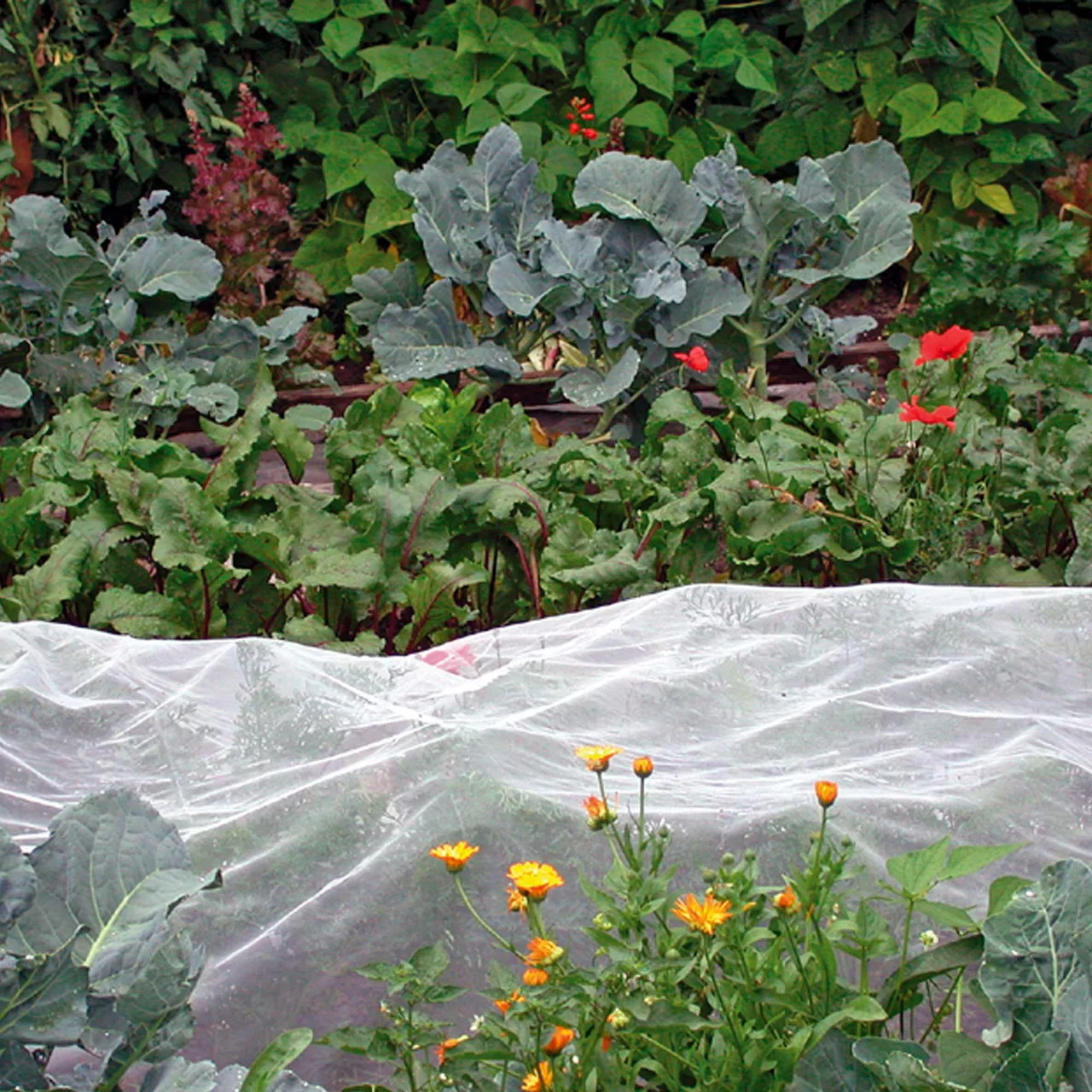 Filet Anti Insectes en Maille, Filet de Jardin Filet de Protection des  légumes Plantes Maille Fine