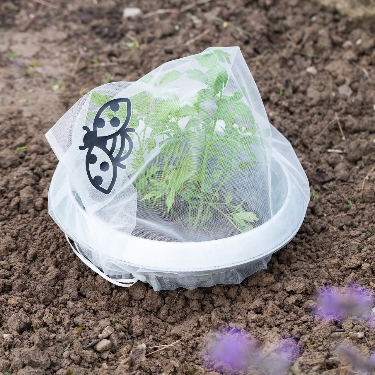 Produktbild zu «Insektenschutz-Taschen Stauden» | © Andermatt Biogarten AG