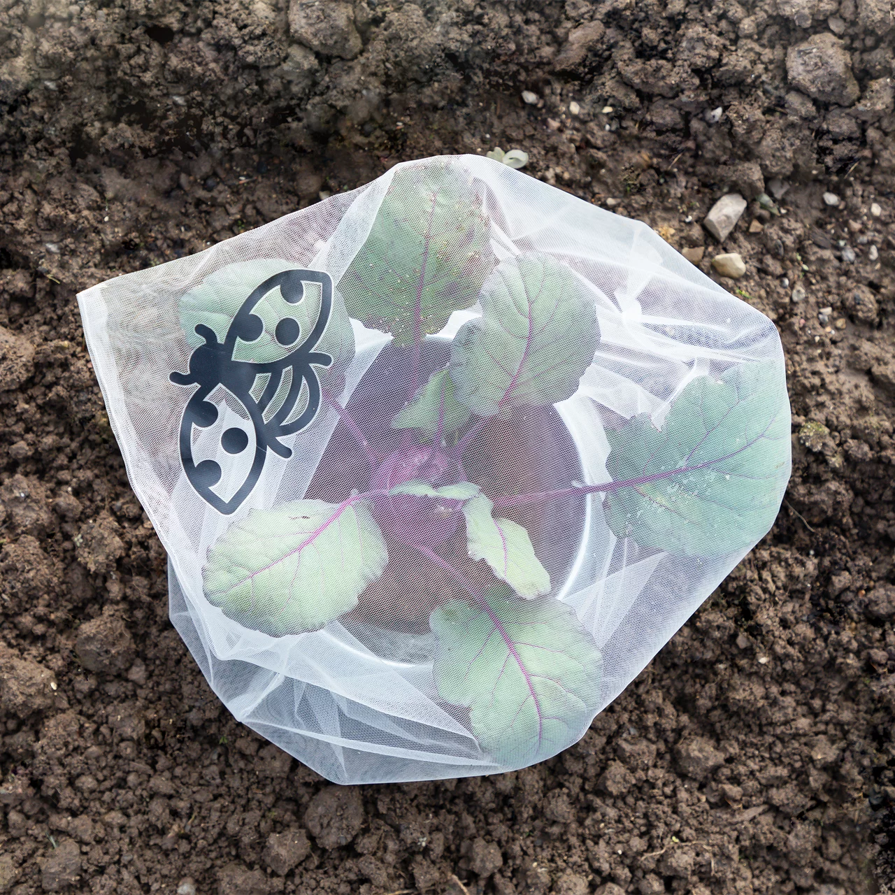 Produktbild zu «Insektenschutz-Taschen Gemüse» | © Andermatt Biogarten AG