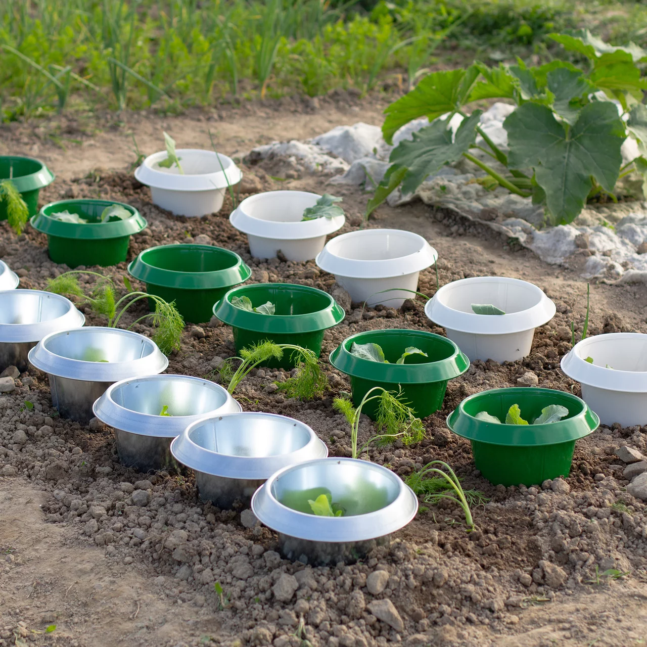 Image du produit pour «Stop Limace FE» | © Andermatt Biogarten AG