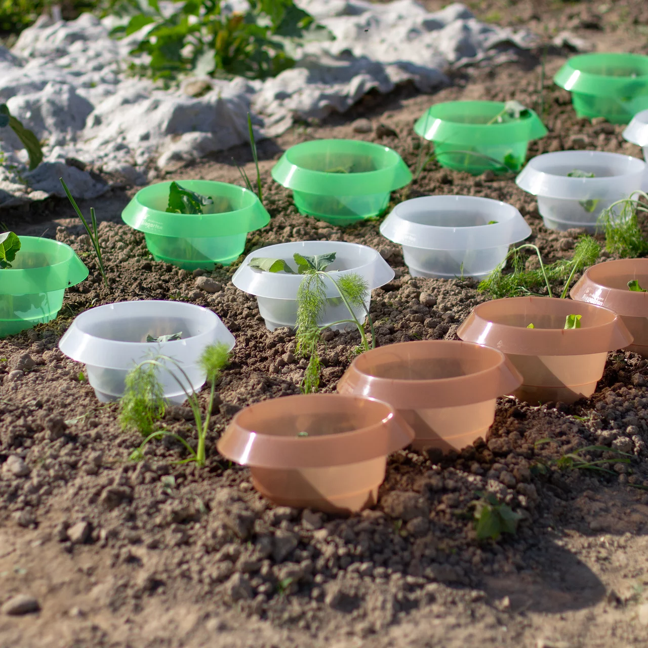 Image du produit pour «Stop Limace PP»