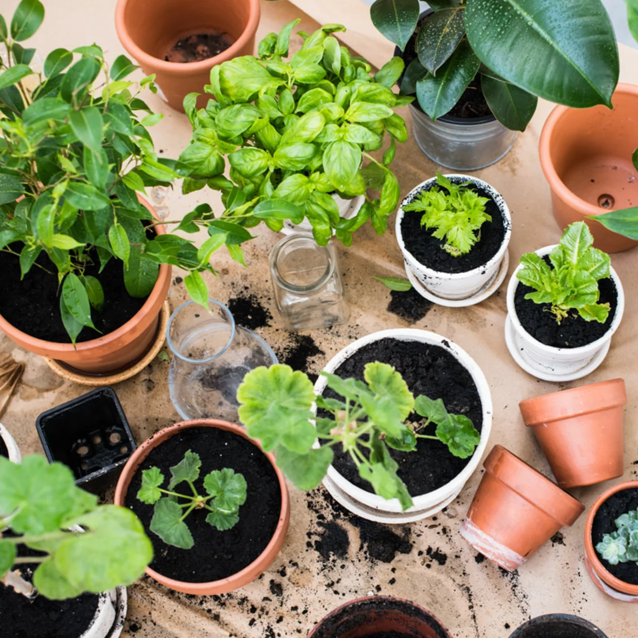 Produktbild zu «RhizoSan» | © Andermatt Biogarten AG