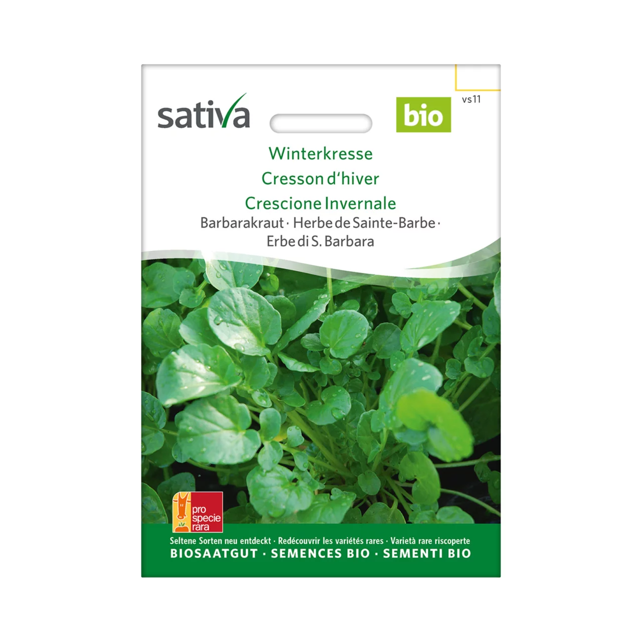 Image du produit pour «Semences bio Herbe de Sainte-Barbe Cresson d'hiver» | © Sativa Rheinau AG