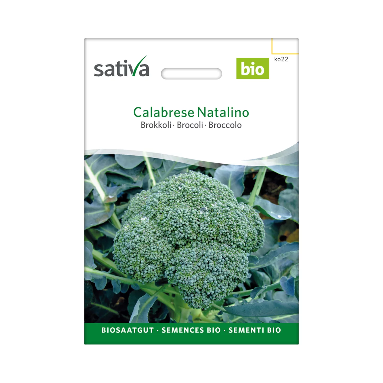 Produktbild zu «Biosamen Broccoli Calabrese Natalino» | © Sativa Rheinau AG