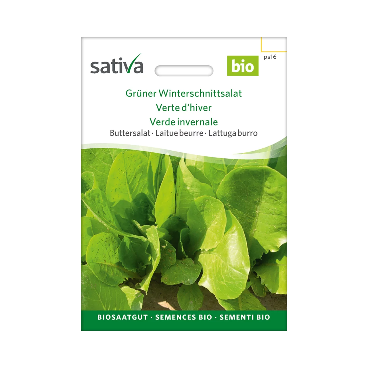 Produktbild zu «Biosamen Buttersalat Grüner Winterschnittsalat» | © Sativa Rheinau AG