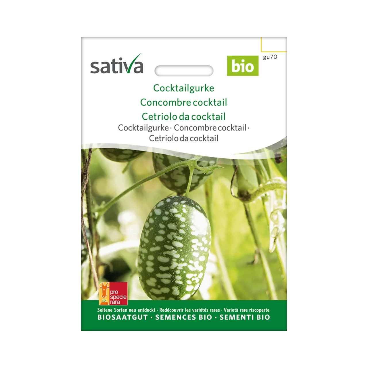 Produktbild zu «Biosamen Cocktailgurke» | © Sativa Rheinau AG