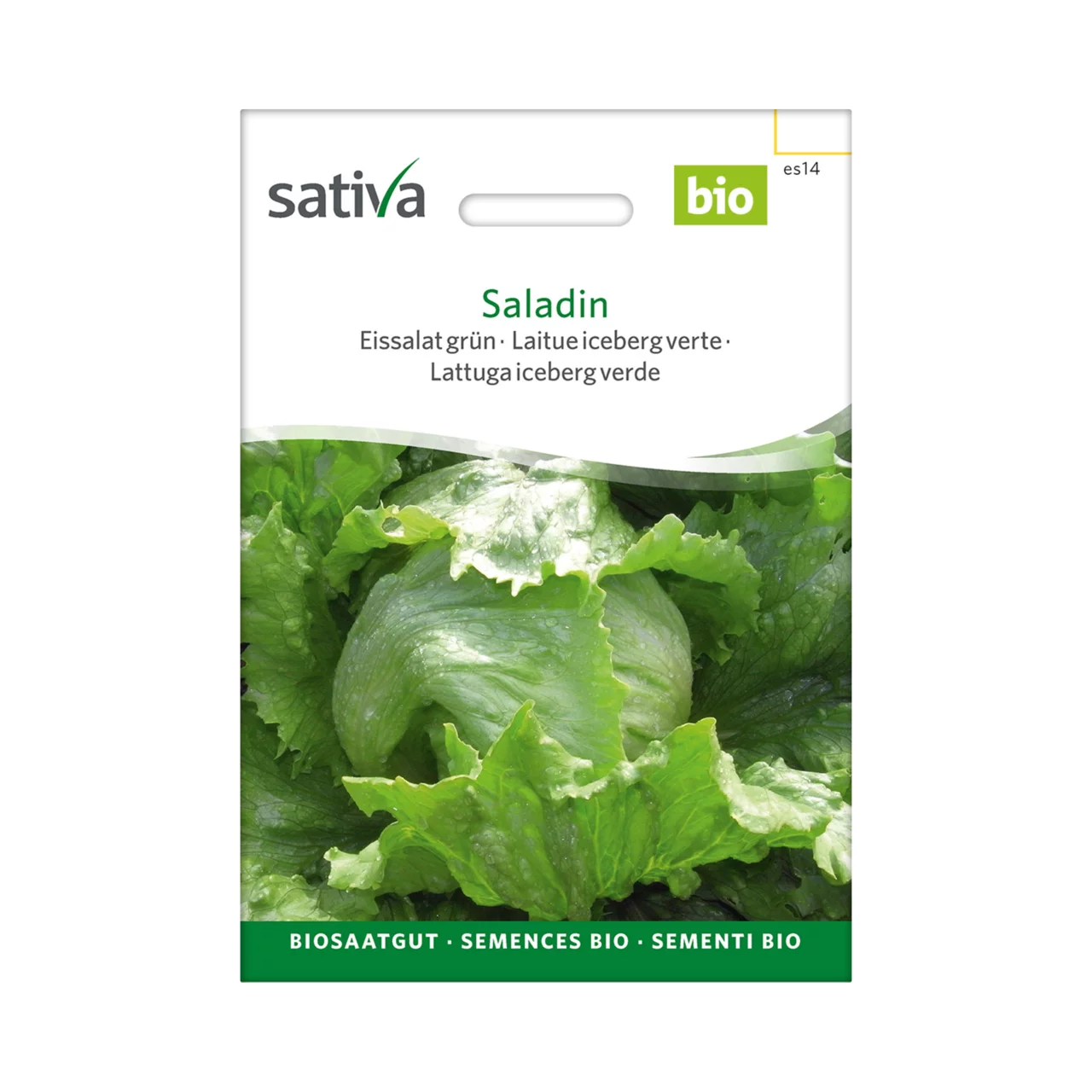 Produktbild zu «Biosamen Eissalat Saladin» | © Sativa Rheinau AG