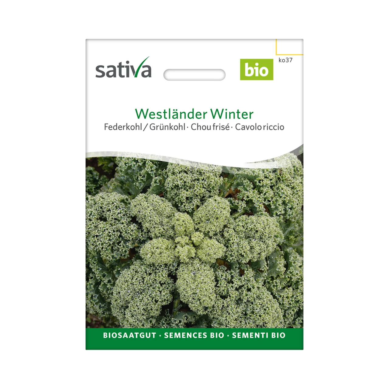 Produktbild zu «Biosamen Federkohl Westländer Winter» | © Sativa Rheinau AG