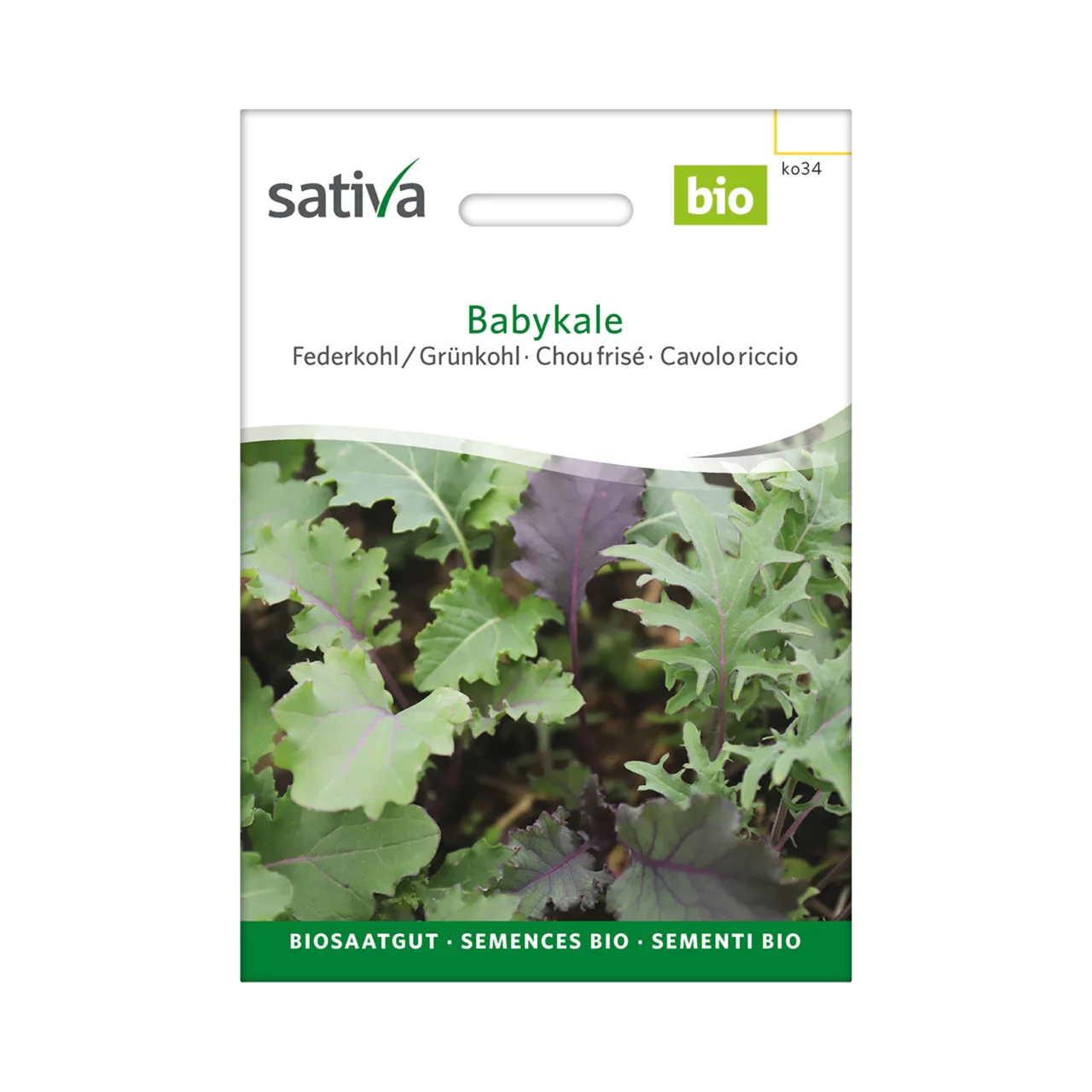 Produktbild zu «Biosamen Federkohl Babykale» | © Sativa Rheinau AG