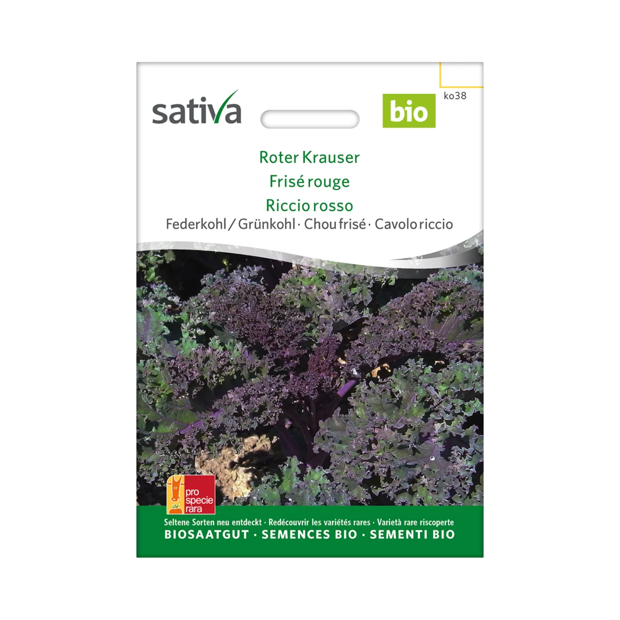 Produktbild zu «Biosamen Federkohl Roter Krauser» | © Sativa Rheinau AG