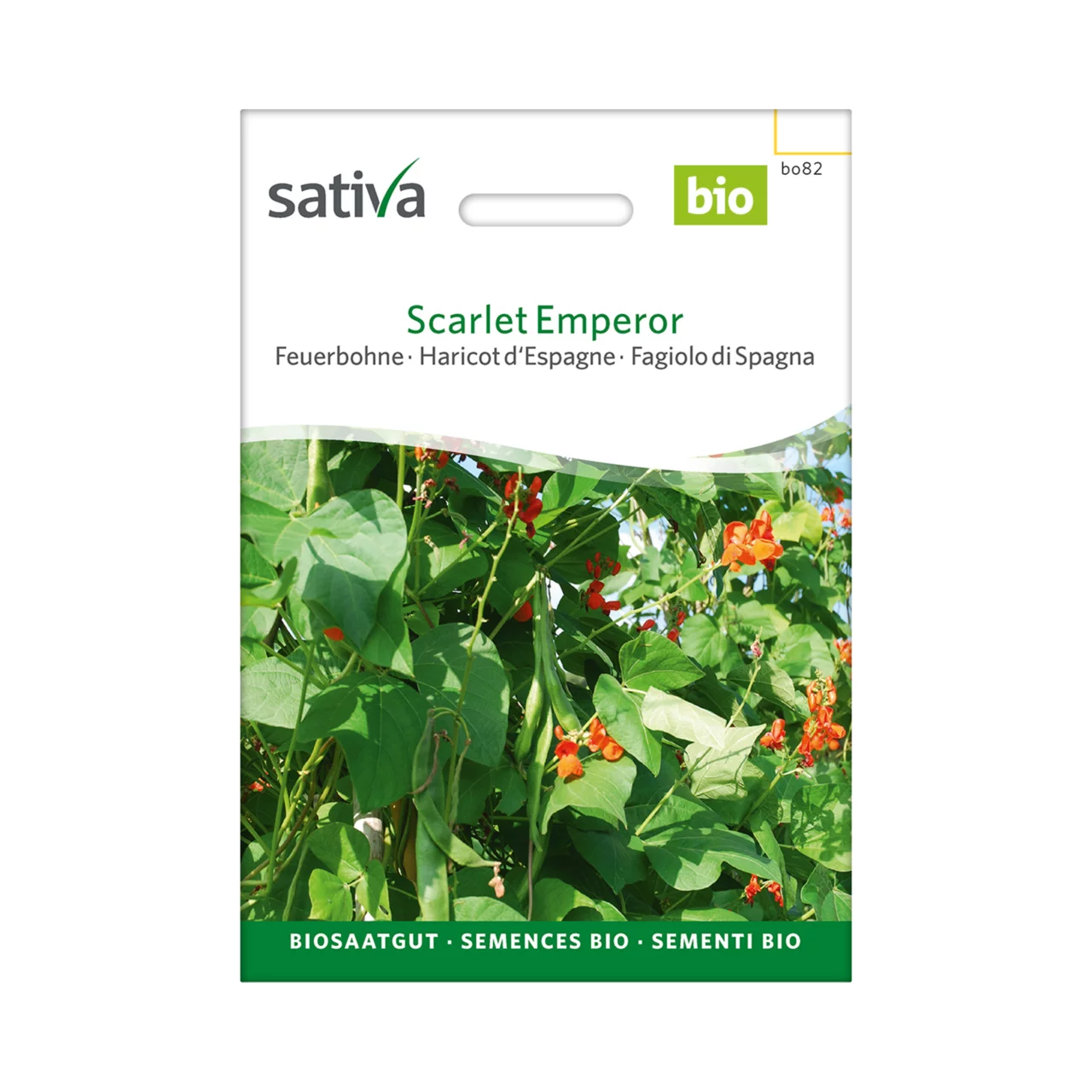 Produktbild zu «Biosamen Feuerbohne Scarlet Emperor» | © Sativa Rheinau AG